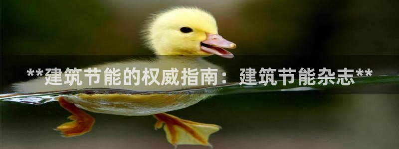 e尊国际app：**建筑节能的权威指南：建筑节能杂志**