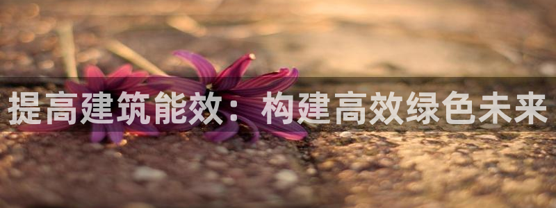 e尊国际官网：提高建筑能效：构建高效绿色未来