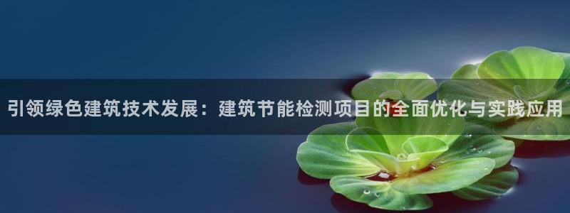 e尊国际客户端下载：引领绿色建筑技术发展：建筑节能检测项目的全面优化与实践应用