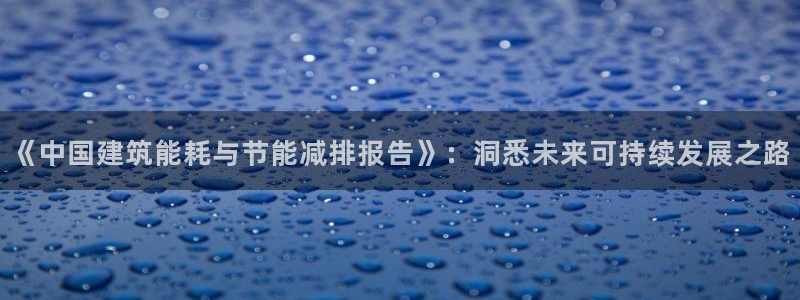 e尊国际客服：《中国建筑能耗与节能减排报告》：洞悉未来可持续发展之路