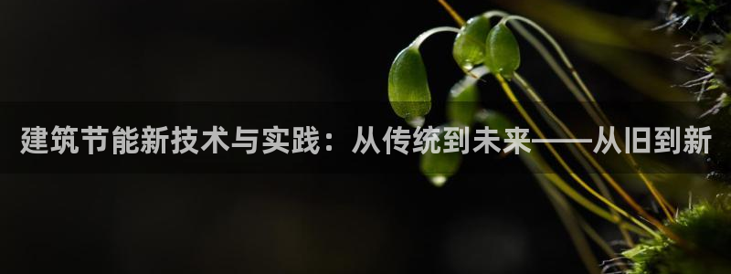 e尊国际网址：建筑节能新技术与实践：从传统到未来——从旧到新