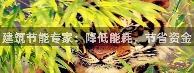 E尊国际网站：建筑节能专家：降低能耗，节省资金