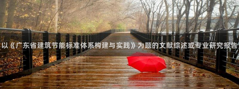 e尊国际平台：以《广东省建筑节能标准体系构建与实践》为题的文献综述或专业研究报告