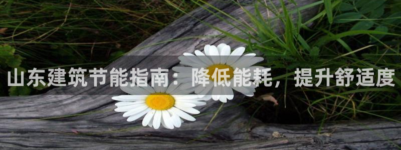 e尊国际可靠吗：山东建筑节能指南：降低能耗，提升舒适度
