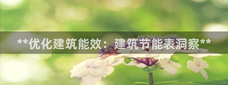 e尊国际网址：**优化建筑能效：建筑节能表洞察**